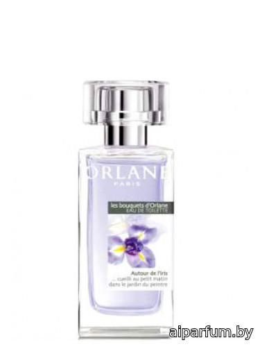 Autour de l’Iris