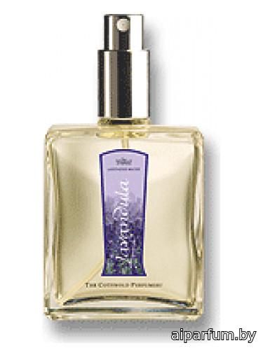 Lavandula