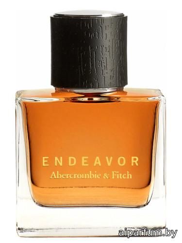 Endeavor