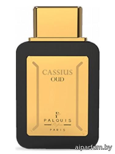 Cassius Oud