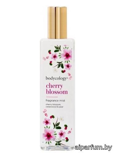 Cherry Blossom