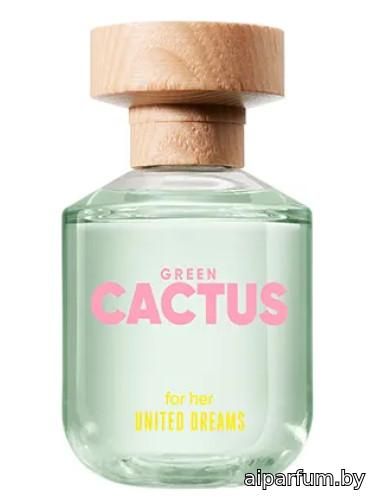 United Dreams Green Cactus For Her