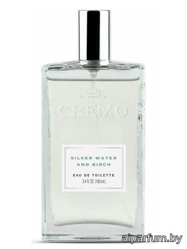 Silver Water & Birch
