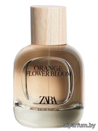 Orange Flower Bloom