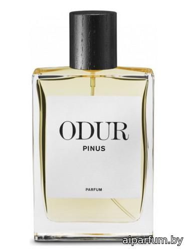 Pinus