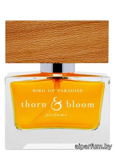 Bird of Paradise