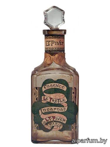 Trèfle Incarnat
