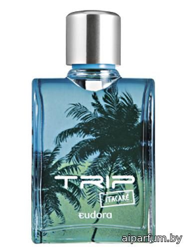 TRIP Itacaré