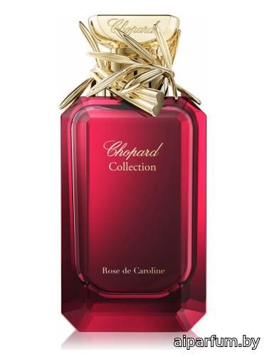 Rose de Caroline