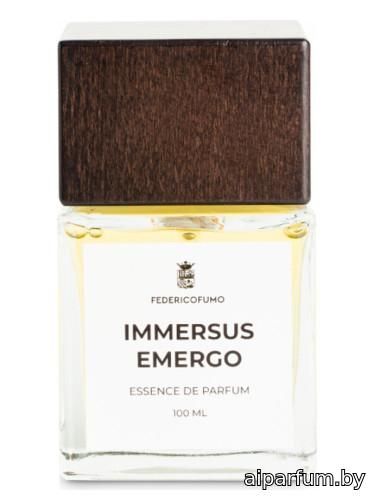 Immersus Emergo