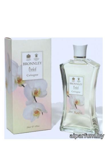 Orchid