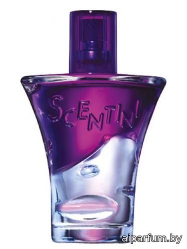 Scentini Nights Purple Pulse