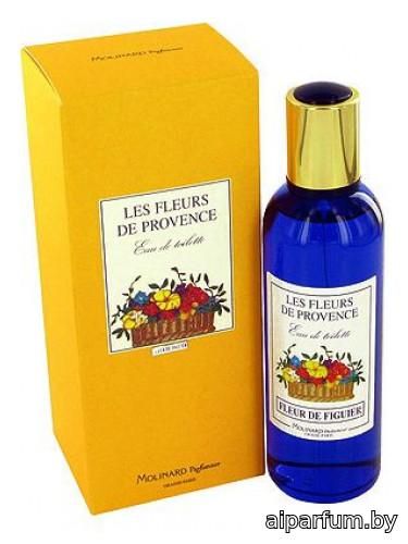 Fleur de Figuier