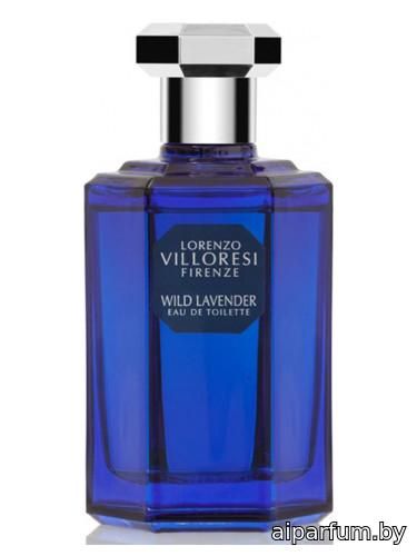Wild Lavender