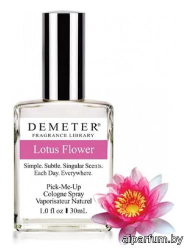 Lotus Flower