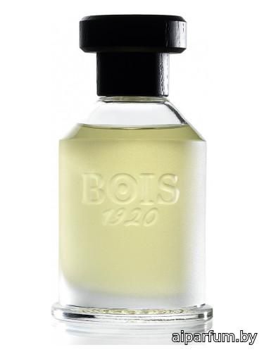 Rosa 23