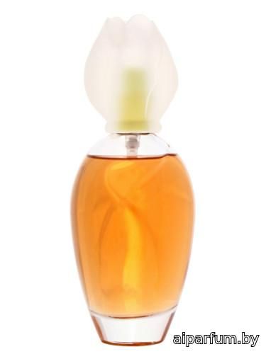 Fleur de Narcisse