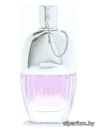 Zara Woman Special Edition