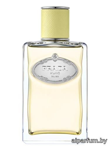 Infusion de Gingembre