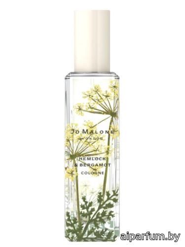Hemlock & Bergamot