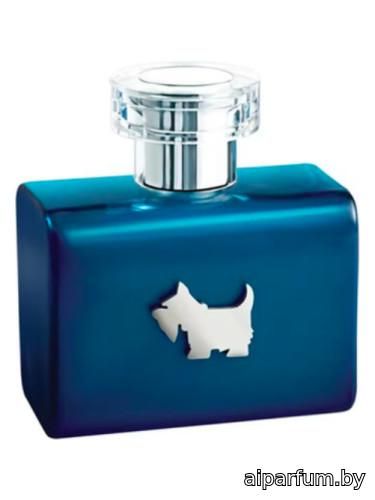 Terrier Blue