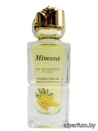 Mimosa