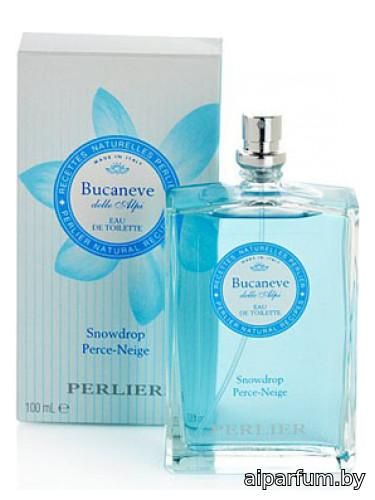 Bucaneve (Snowdrop)