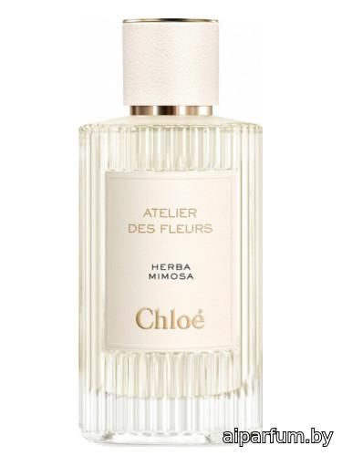 Herba Mimosa