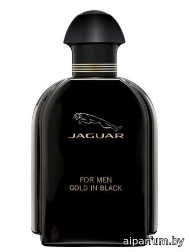 Jaguar For Men Gold in Black