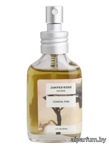 Coastal Pine Cologne