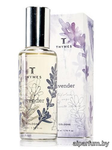 Lavender