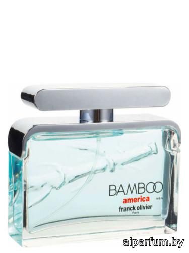Bamboo America