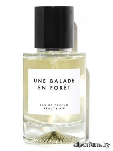 Une Balade En Forêt
