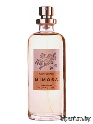 Mimosa