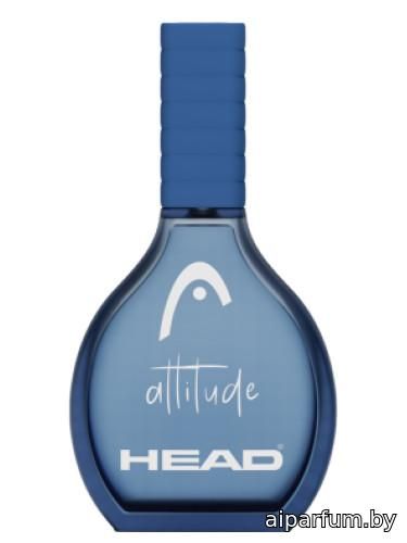 Attitude