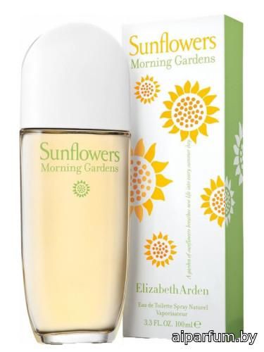 Sunflowers Morning Gardens