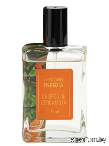 Campos de Bergamota