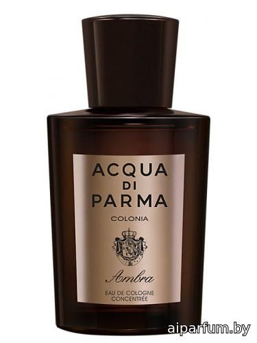 Colonia Ambra