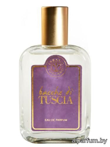 Bacche di Tuscia
