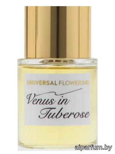 Venus in Tuberose