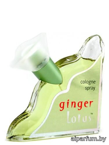 Ginger Lotus