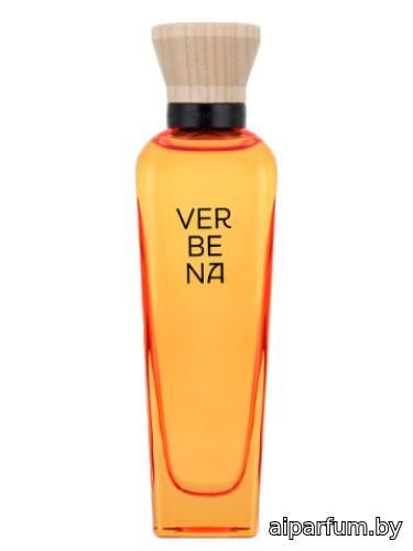 Verbena Mujer