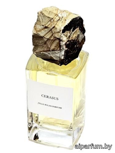 Cerasus
