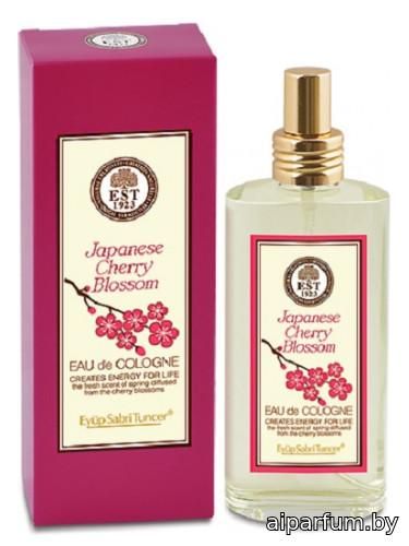 Japanese Cherry Blossom