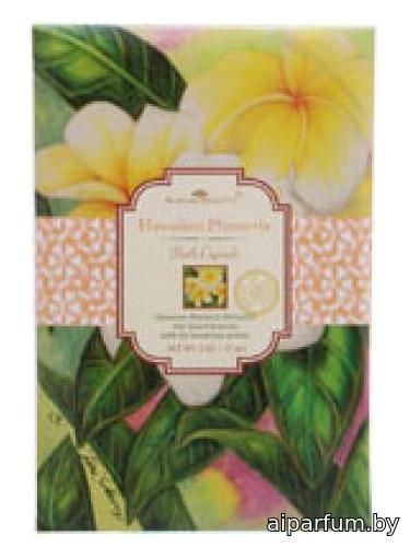 Hawaiian Plumeria