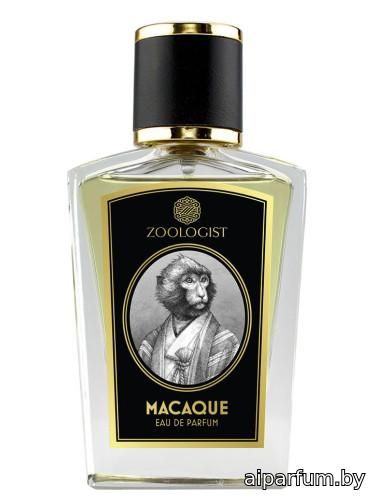 Macaque