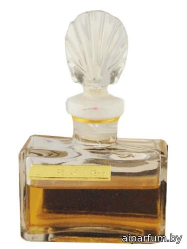 Белая сирень (White Lilac)
