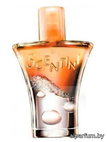 Scentini Citrus Chill
