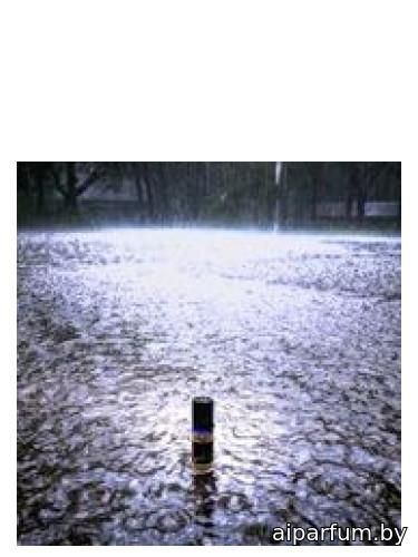 During the Rain