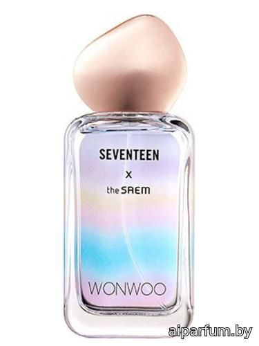 Seventeen X Wonwoo